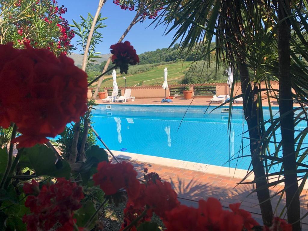 Rea Villa Coltodino Dış mekan fotoğraf